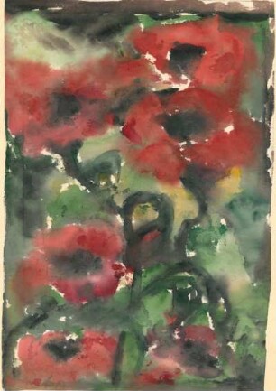 Mohn