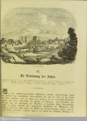 IX. Die Gewinnung des Salzes