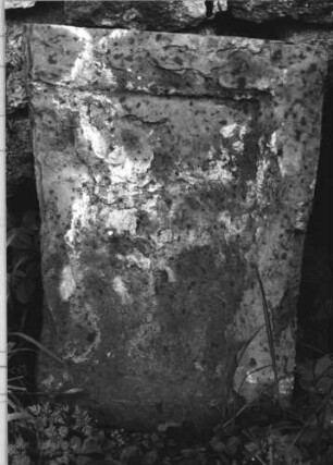 Grabstein 234 (Index: 100110528) Material: Sandstein Zustand: Fragment, sehr stark verwittert, ohne Inschrift Maße HxBxT: 43x60x12 cm Beschreibung: Schriftfeld eingetieft (Fragment): Grabstein 234