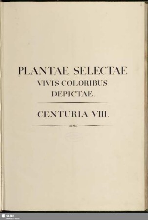 8: Plantae selectae vivis coloribus depictae. Band 8 - Mscr.Dresd.App.3413,Bd.8