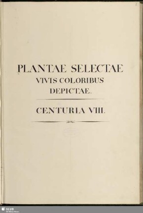 8: Plantae selectae vivis coloribus depictae. Band 8 - Mscr.Dresd.App.3413,Bd.8