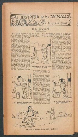 El buey - (Continuación) : Historia de los animales