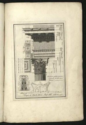 Tav. VII. Tempio di Marte Ultore. Studj dell' esterno