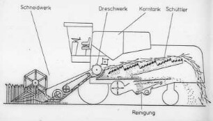 Schemazeichnung: Mähdrescher selbstfahrend, Schneidwerk, Dreschwerk, Korntank, Schüttler, Sieb
