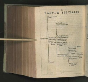 V. Tabvla Specialis