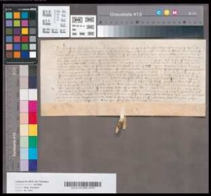 Hans Hakenberg schwört Herzog Adolf von Kleve- Mark Urfehde.