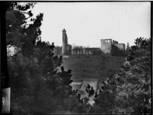 Klosterruine Limburg Landschaftsbild, im Hintergrund befindet sich die Klosterruine Limburg