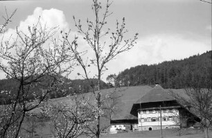 Gutach: Schwarzwaldhaus an der Schwarzwaldbahn bei Gutach