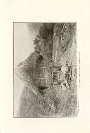 Plate LXXXIV. Lepanto Igorot woman weaving
