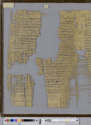 Canticum Canticorum 3,1-4,3