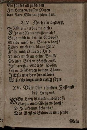 XIV. Noch ein anders