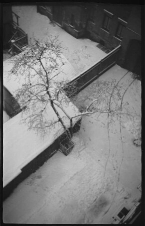 Blick aus dem Fenster eines Hauses im Leipziger Seeburgviertel auf einen verschneiten Hinterhof