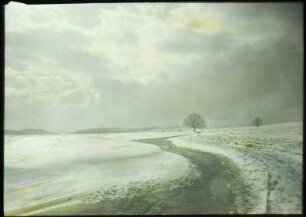 Kunaths Linde : Langenhennersdorf. Blick zur Kunath-Linde. Winteraufnahme