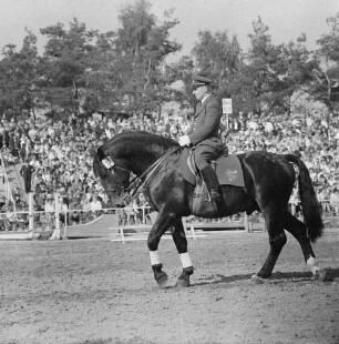 Moritzburger Hengstparade. Reiter in Uniform beim Vorführen verschiedener Gangarten