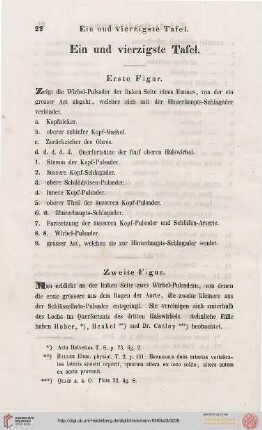 Ein und vierzigste Tafel / Tabula Quadragesima Prima