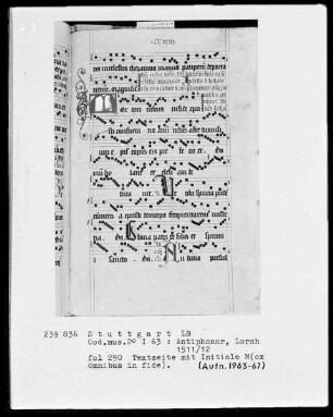 Antiphonarium (Benediktinerhandschrift) — Initiale M (ox omnibus in fide), Folio 290 recto