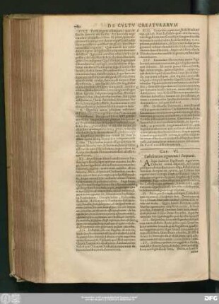 Cap. VI. Catholicorum argumenta è Scripturis.