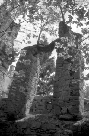 Schlechter Bauzustand der Klosterruine Frauenalb.