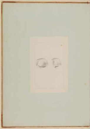 Linkes Auge einer schlafenden, fünfundzwanzig-jährigen Frau [Vorzeichnung zu Samuel Thomas Soemmerring, Abbildungen des menschlichen Auges, Frankfurt am Main 1801, Tafel I ("schattierte" Darstellung), Fig. 9 und Fig. 10]