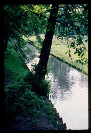 Die Panke 23.6.76.