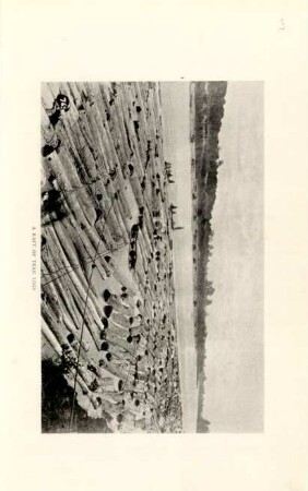 A raft of teak logs