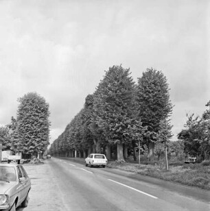 Allee: vorn Straße Richtung Bargfeld-Stegen: rechts Bank: vorn links Pkw: dahinter Anhänger: rechts Pkw
