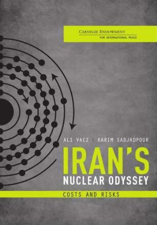 Iran's nuclear odyssey : costs and risks