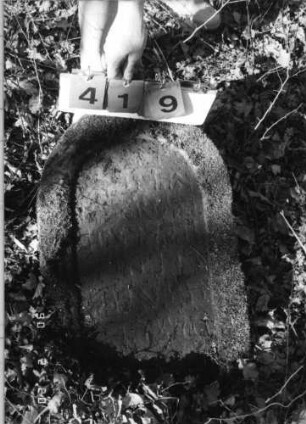 Grabstein 419
