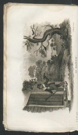 Tafel: Le moineau.