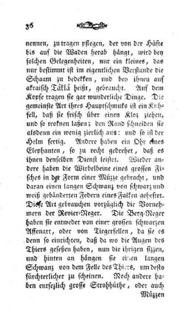 Kapitel III. Ausbruch des Krieges zwischen unsern Negern und einer feindlichen Nation.