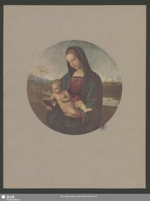 29. Raffaello Santi: Madonna Conestabile