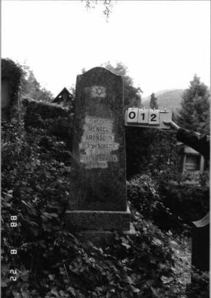 Grabstein 12 (Index: 100080113) Material: Granit Zustand: gut Maße HxBxT: 162x42x20 cm Beschreibung: konische Stele, getreppter Sockel, Konvexbogenabschluß Symbolik: Davidstern: Grabstein 12