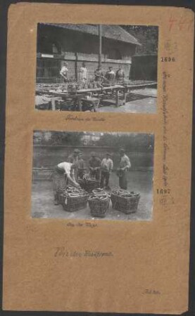 An der Waage. (In einer Wurstfabrik der 6. Armee, Juli 1916)