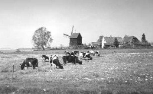 Großhennersdorf-Neundorf. Günther-Mühle, Bockmühle und Gehöft
