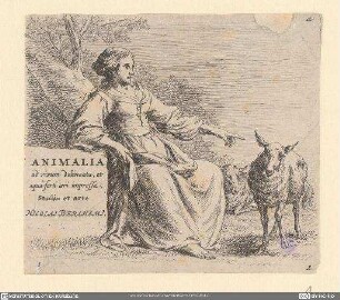 Animalia ad vivum delineata