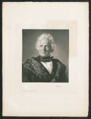 Rauch