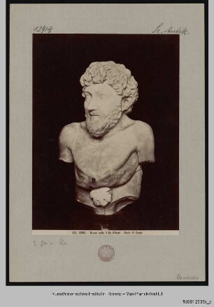 Aesop