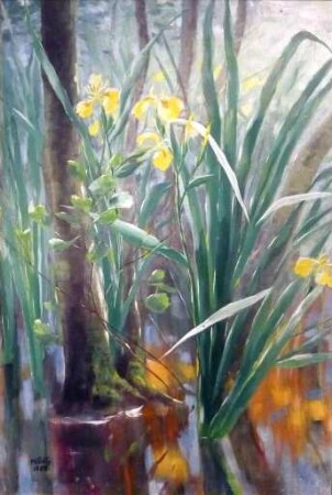 unbenannt [Gelbe Iris im Uferbereich]