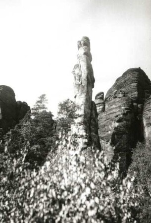 Sächsische Schweiz. Pfaffenstein-Südriff mit Förster und Barbarine (mit Seilschaft in der Talseite). Blick von Südost