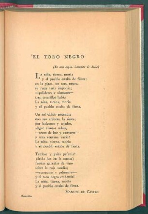 El toro negro