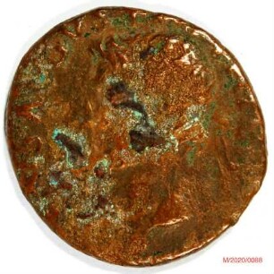 Römische Münze, Nominal As, Prägeherr Tiberius für Divus Augustus, Prägeort Rom, Original