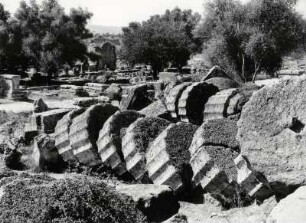 Olympia, Säulenreste des Zeustempel