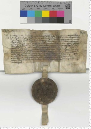 Elf Ratsmannen bekunden den Verkauf eines halben Fuders Salz aus Barninge [Sülzhaus] an das Kloster Heiligenthal. [lat]