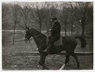 Senator William Borah auf einem Pferd, USA. William Borah