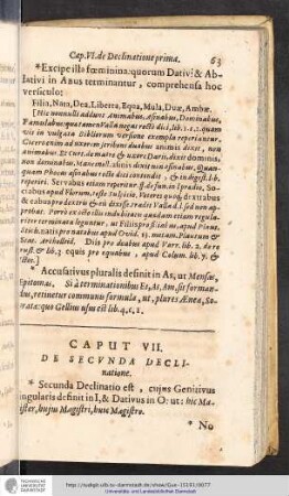 Lib. I. Cap. VII.