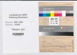 Entnazifizierung Karl Tillessen, geb. 22.08.1891 (Kaufm.Direktor)