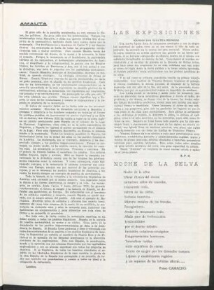 Noche de la selva