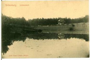 Grillenburg. Schlossteich