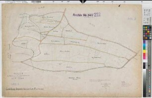 Langenholthausen (Balve), Blintrop (Neuenrade), Umlegung Langenholthausen-Blintrup, Bl.8 Urkarte II, Langenholthausen Flur 9