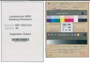 Entnazifizierung Robert Angerstein , geb. 30.08.1904 (Ingenieur)